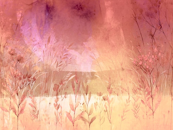 Wildflower Sunset Dream