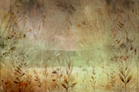 Autumn Whisper Meadow tapet