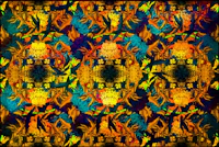 Enchanted Floral Canvas carta da parati