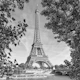 PARIS Monochrome Eiffel Tower & River Seine