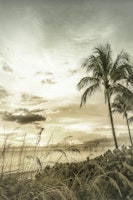 BONITA BEACH Bright Sunset | Vintage papiers peint