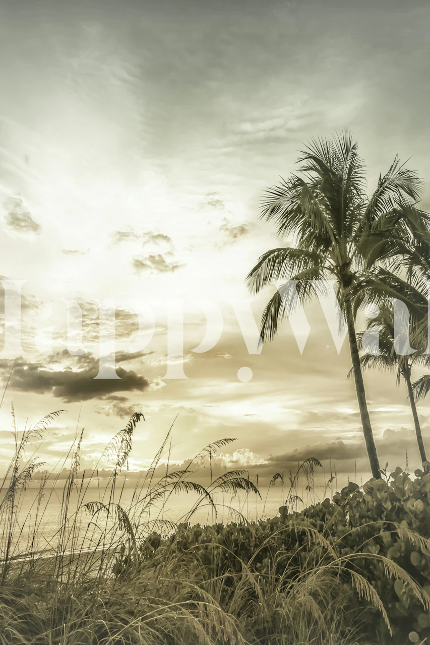 Vintage tropisch strand zonsondergang display