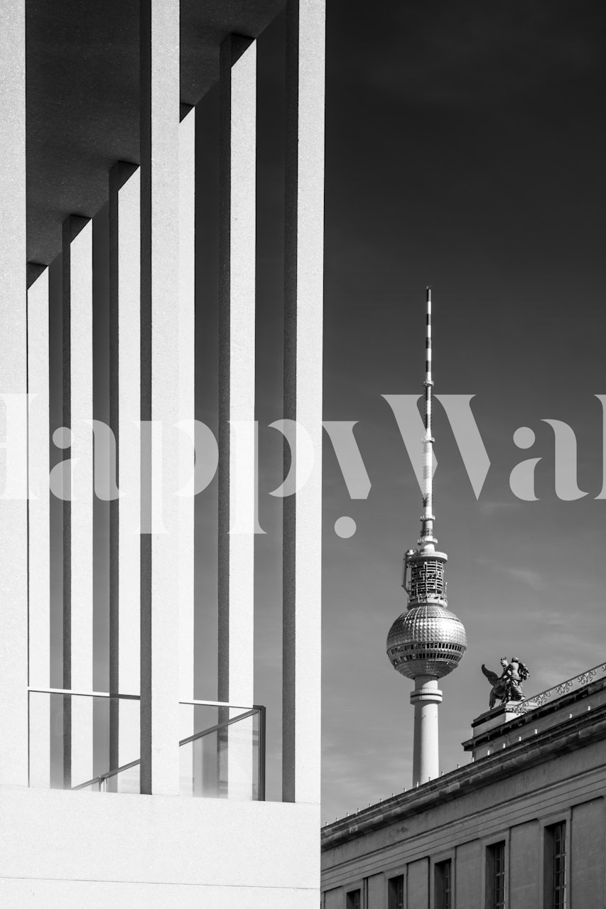 Berlínská monochromatická tapeta znázorňující televizní věž