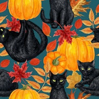Black cats and pumpkins wallpaper