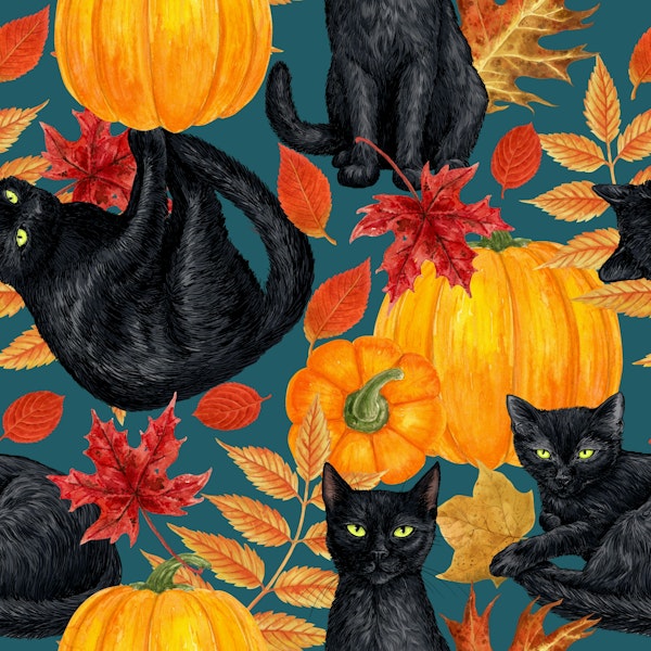 Black cats and pumpkins