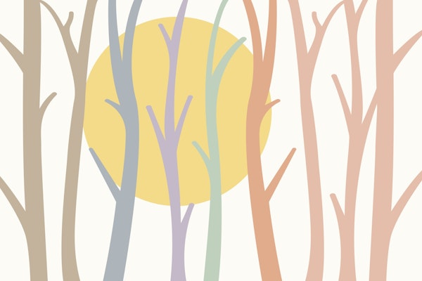 Enchanted Forest Dream