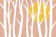 Sunset Forest Hues