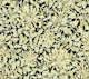 Victorian Honeysuckle pattern 10