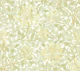 Victorian Honeysuckle pattern 11