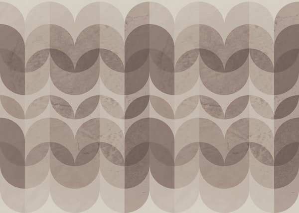 Earthy Curves Decor