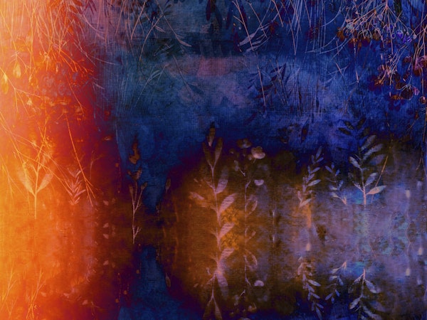 Midnight Flora Dream