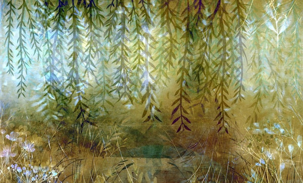 Enchanted Forest Glade