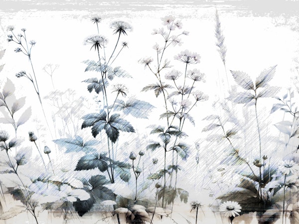 Ethereal Botanical Sketch