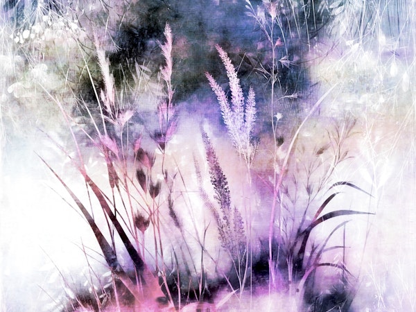 Ethereal Floral Haze