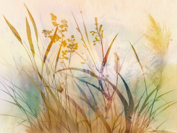 Autumn Grasses Bliss