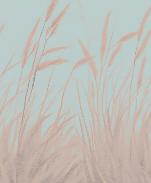 Autumn Grasses Bliss