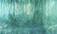 Enchanted Forest Breeze