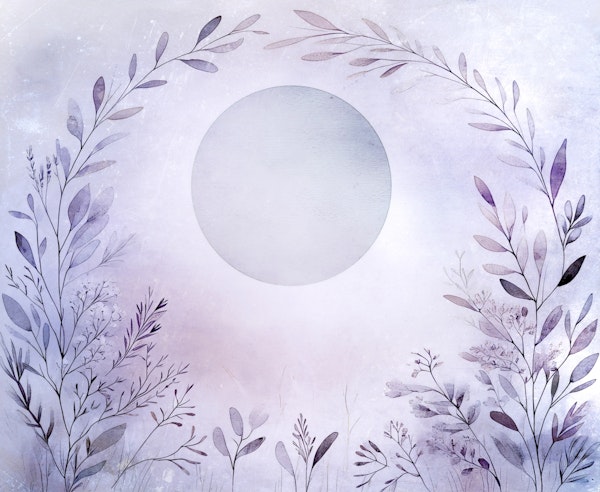 Enchanted Botanical Bliss