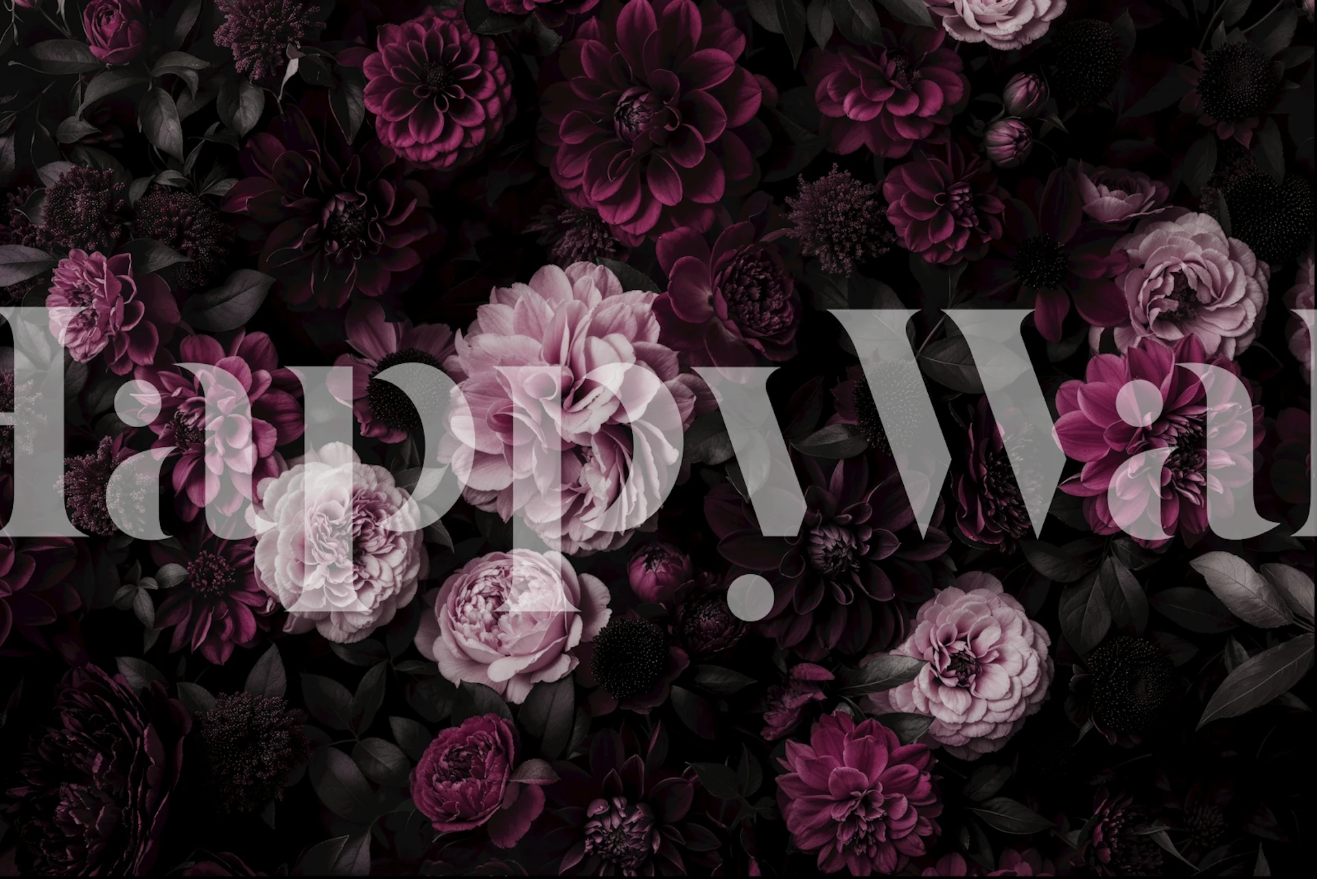 Blooming midnight dahlia wallpaper design