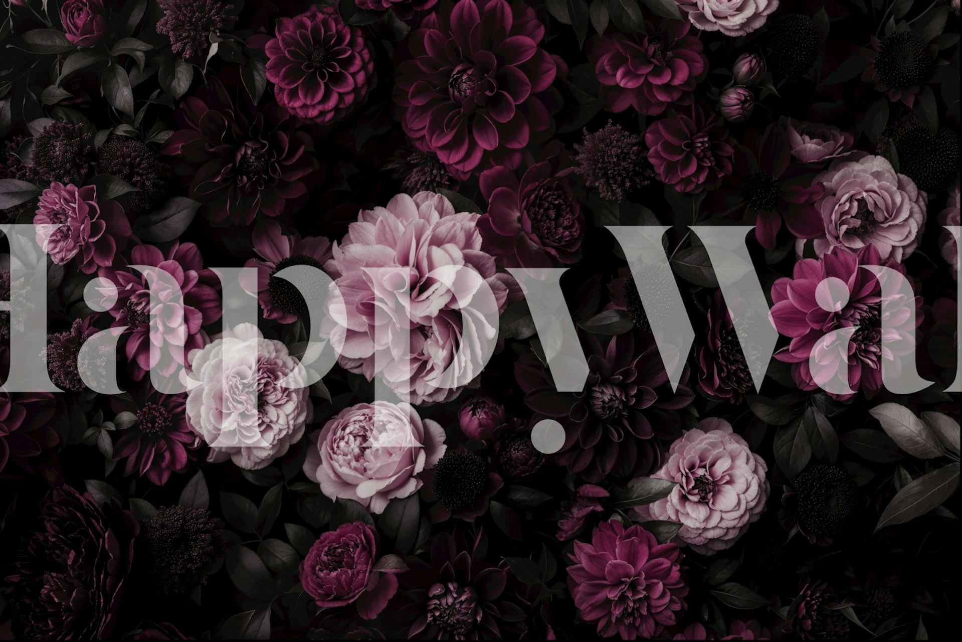 Blooming midnight dahlia wallpaper design