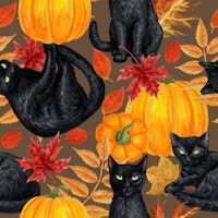 Black cats and pumpkins 3 wallpaper