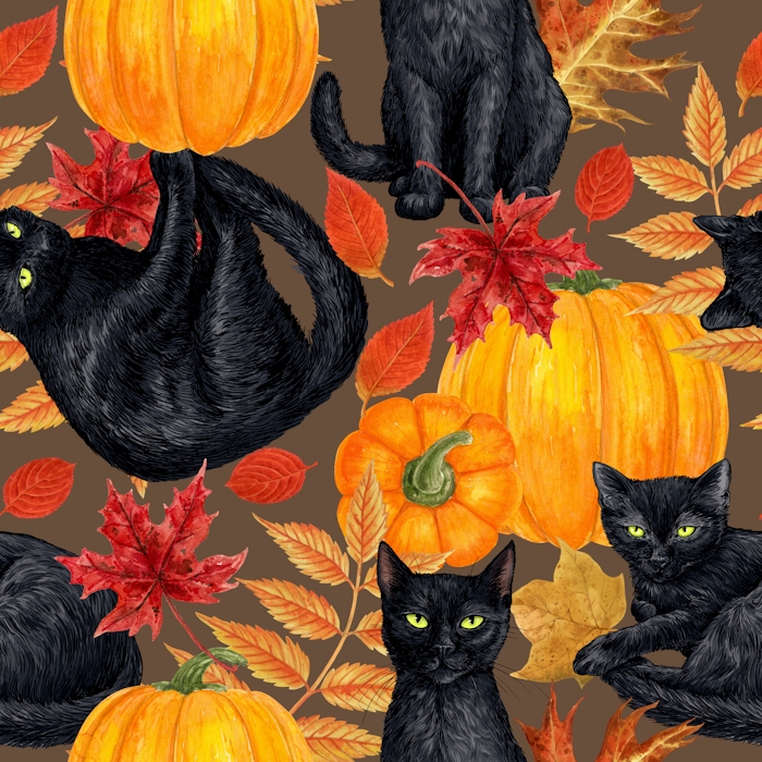 Black Cat and Pumpkin Halloween Wallpaper