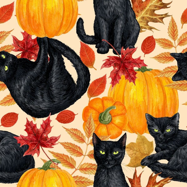 Black cats and pumpkins 4