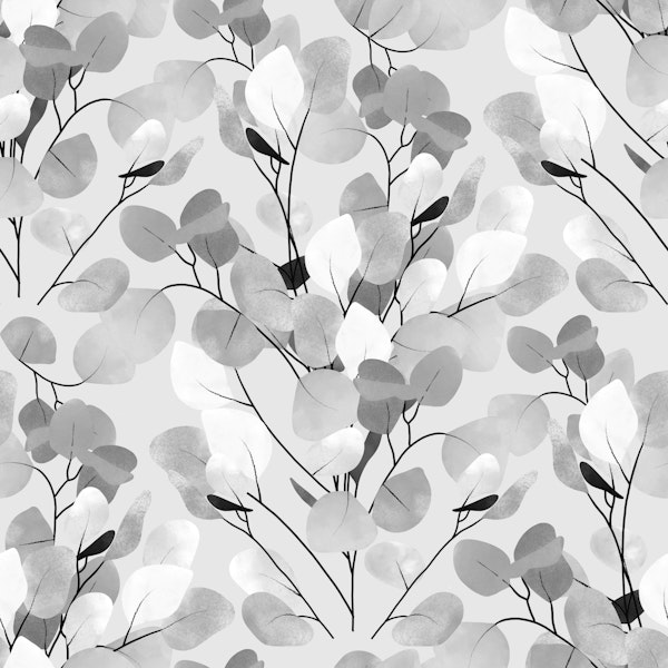 Silvery Silver Dollar Eucalyptus