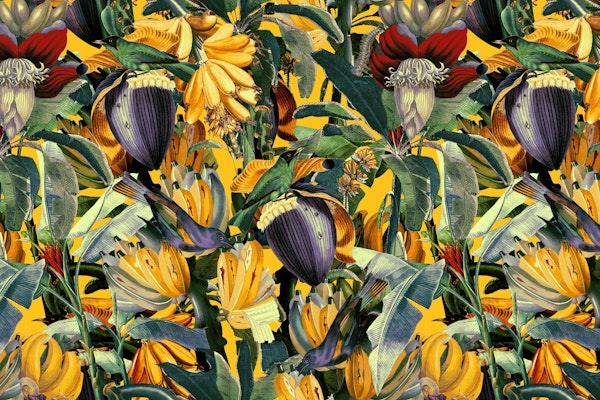 Banana and Leaf Garden