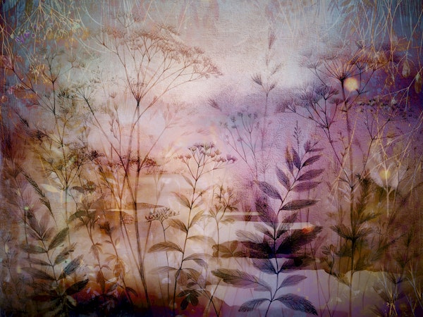 Ethereal Botanic Dream