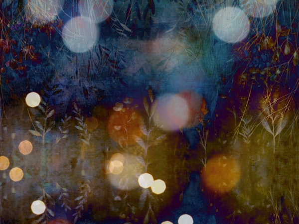 Twilight Garden Magic