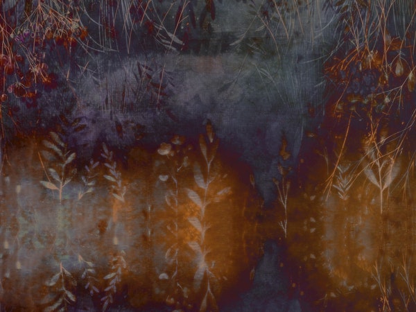 Autumn Hues Infusion