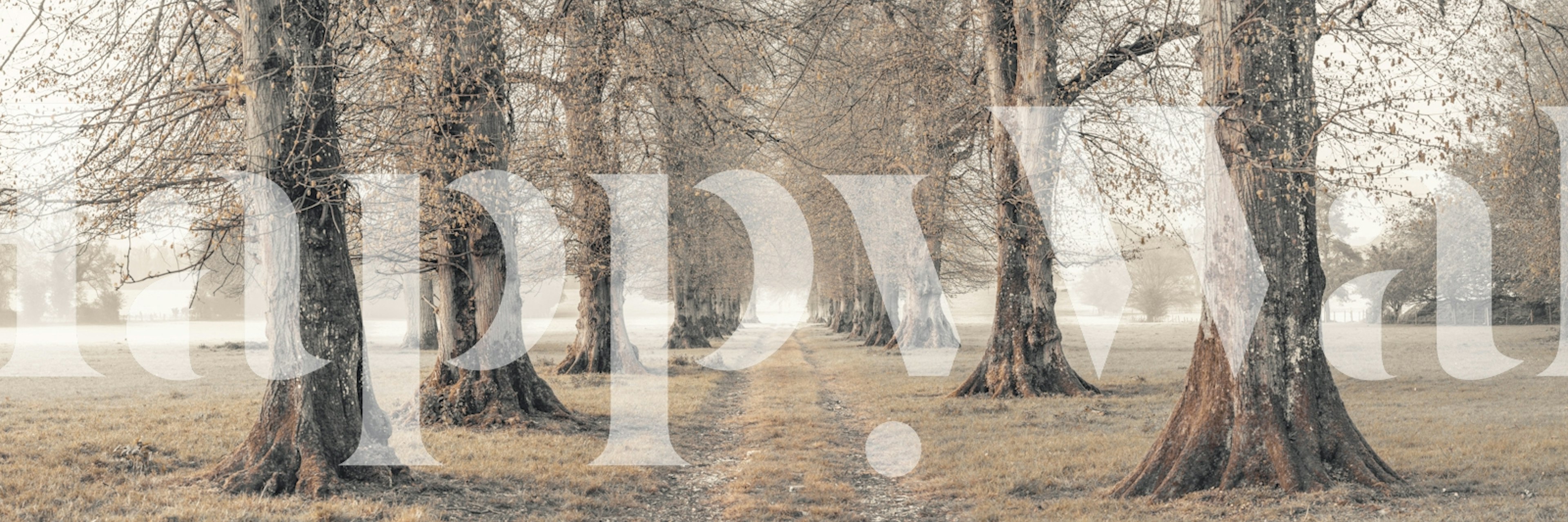 Tapeta Golden Grove Serenade v místnosti