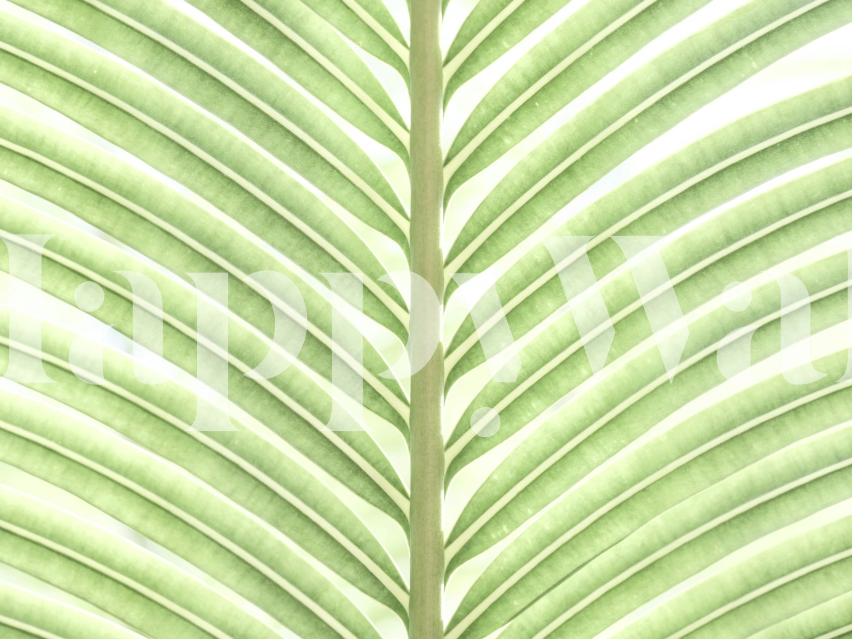 Papier peint Verdant Leaf Stripes dans une pièce