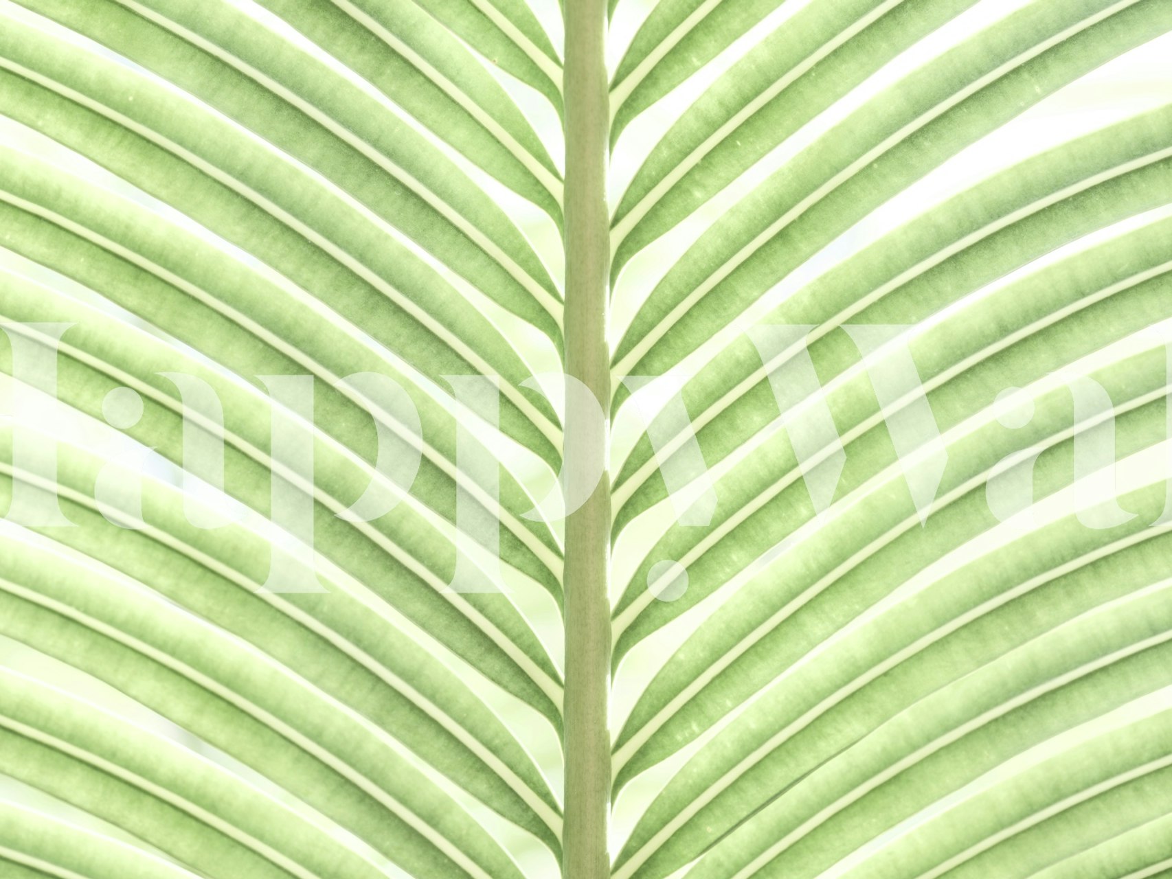 Verdant Leaf Stripes wallpaper in a room