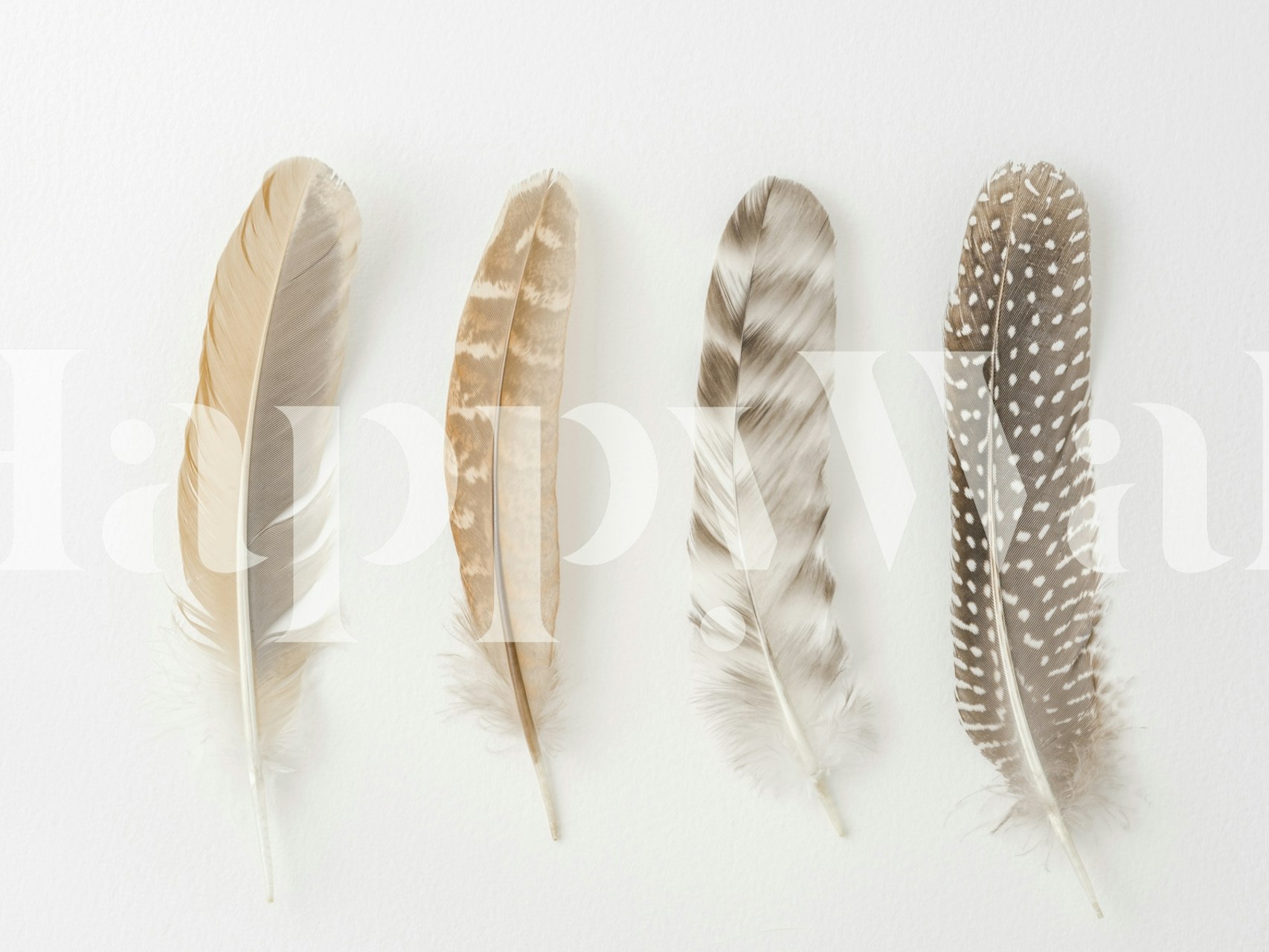 Soft Feather Array tapet i rumdisplay
