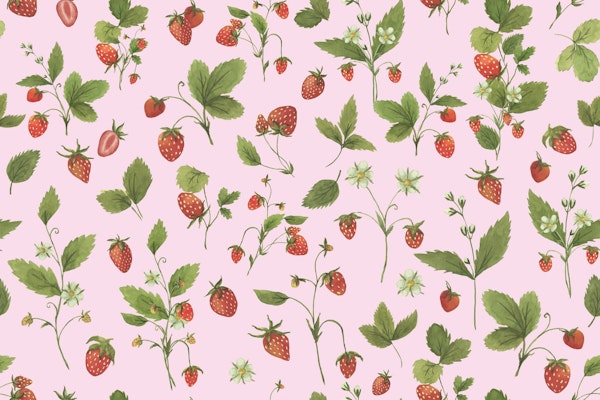 Whimsical Wild Strawberries On Pink