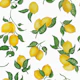 Gouache Lemon 1 White small