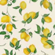 Lemons Gouache 6 Off White