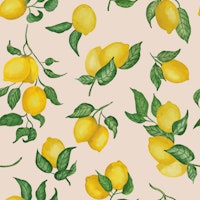 Lemons Gouache 7 champagne pink wallpaper