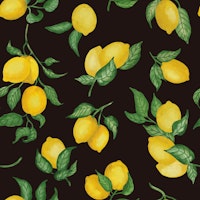 Lemons Gouache 17 Black Chocolate wallpaper