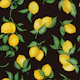 Lemons Gouache 17 Black Chocolate