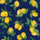 Lemons Gouache 23 Solid Navy