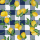 Lemons Gouache 24 Solid Navy gingham