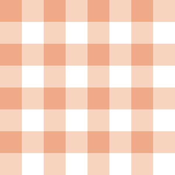 Gingham 9 peach