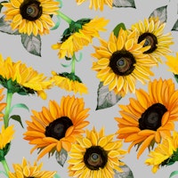 Sunflowers grey background pattern wallpaper