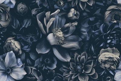 Mural