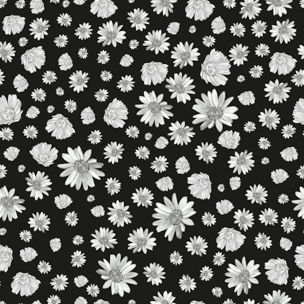 Black white simple daisy