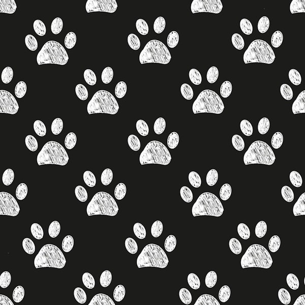 White paw prints black