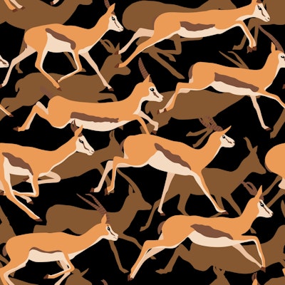 Pattern